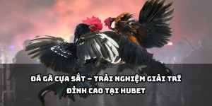 đá gà cựa sắt
